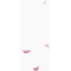 粉色清新花瓣漂浮素材