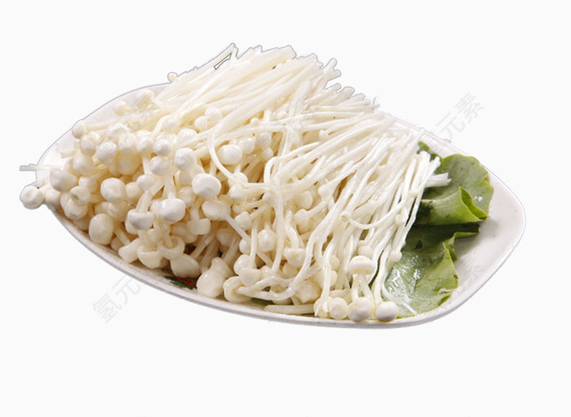 盘子中的金针菇素材图片