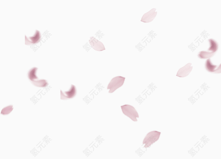 花瓣鲜花