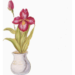 油画花瓶花朵写生