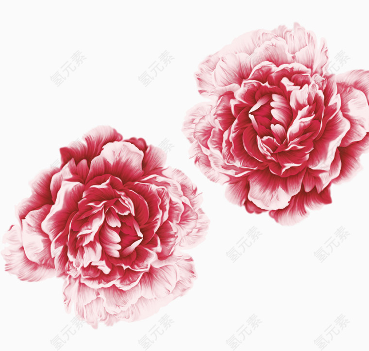 母亲节花元素