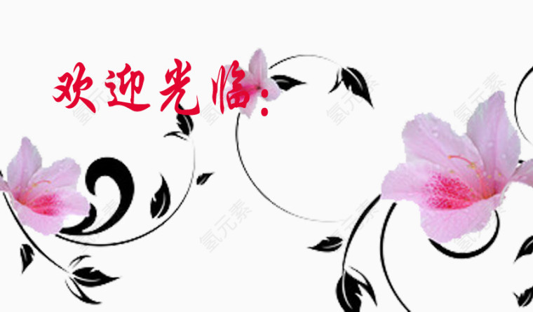 欢迎光临