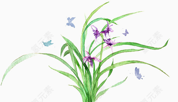 二十四番花信风-大寒-二候兰花