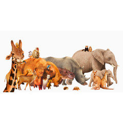 可爱野生动物集合装饰图案