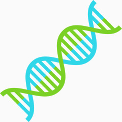 现代简约可爱DNA矢量图