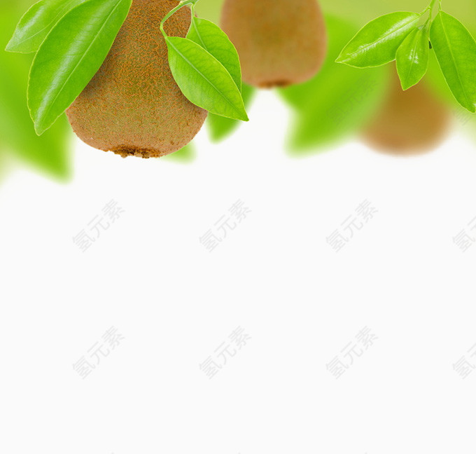 新鲜的猕猴桃水果