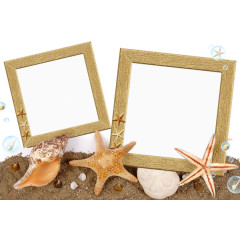 海星海螺海贝装饰木质边框