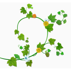 有小黄花的藤蔓