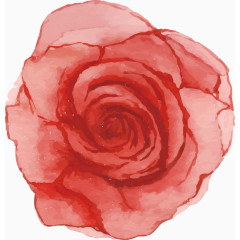 手绘玫瑰矢量图