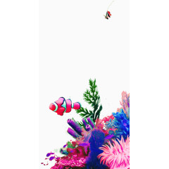 海底世界 金鱼 珊瑚 海藻