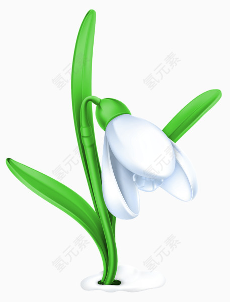 凋零的鲜花