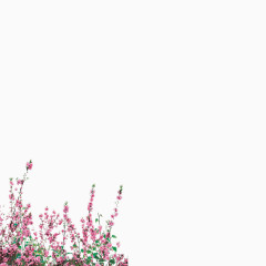 浪漫粉红色桃花源素材