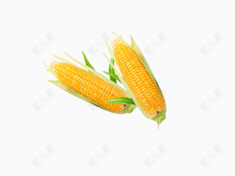 两个玉米