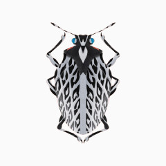 创意运动昆虫视觉