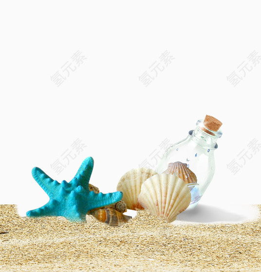 海星漂流瓶贝壳