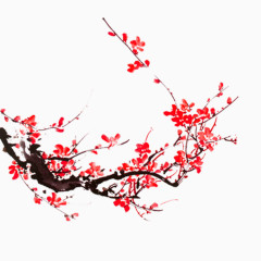 梅花