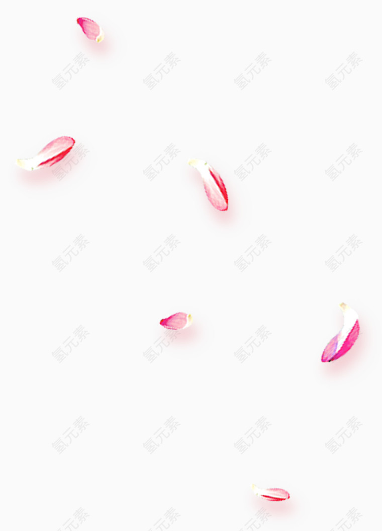 飘散的樱花花瓣