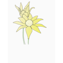 向日葵矢量图
