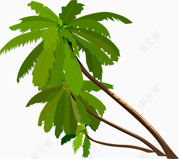 绿色椰子树