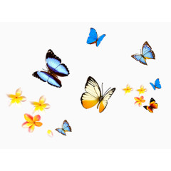 黄色小花彩色蝴蝶