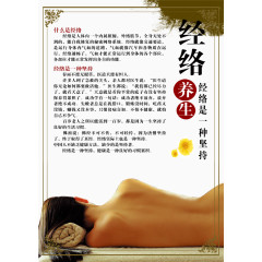 中医经络图