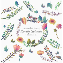 矢量水彩秋季花草