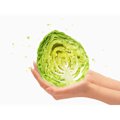 手捧着洋白菜