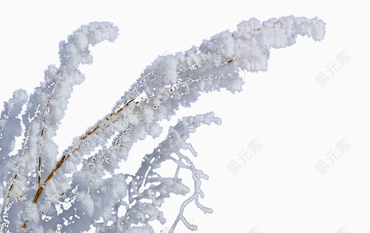 雪景