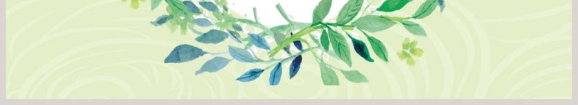 春季新品策划产品发布会PPT第6张