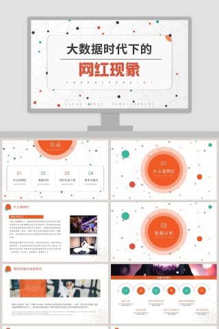 大数据时代下的网红现象PPT 