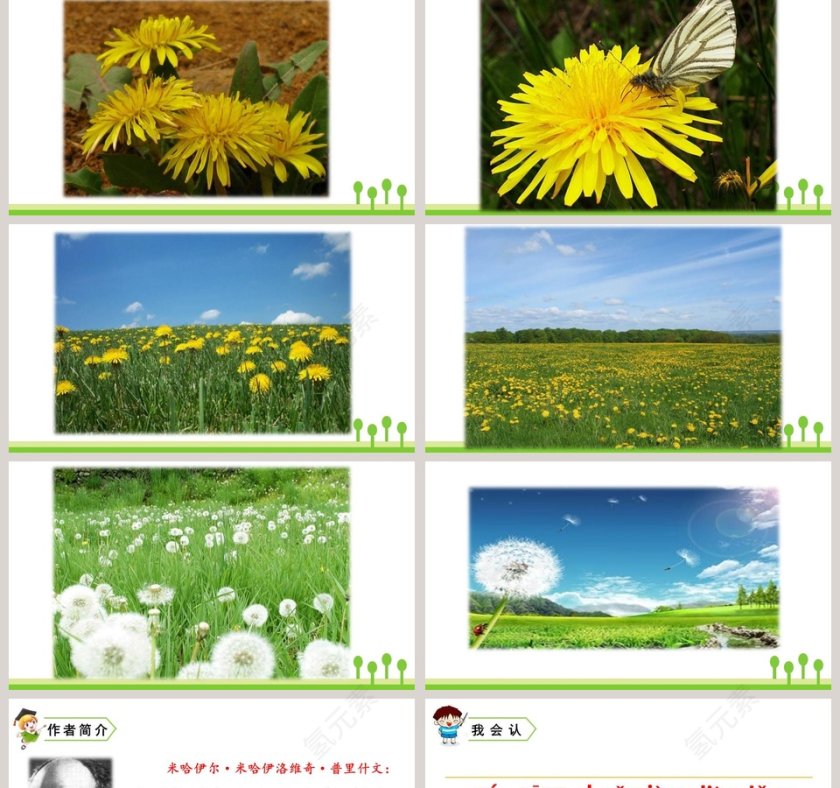 三年级语文上册金色的草地PPT课件第2张