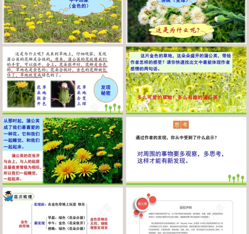 三年级语文上册金色的草地PPT课件第6张