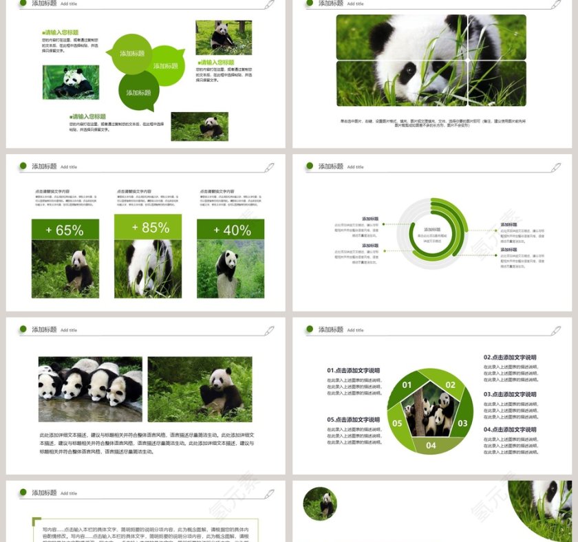 国宝熊猫教育培训专用PPT模板第2张