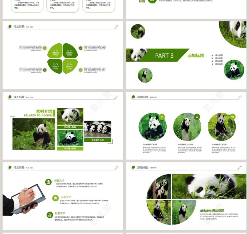 国宝熊猫教育培训专用PPT模板第4张