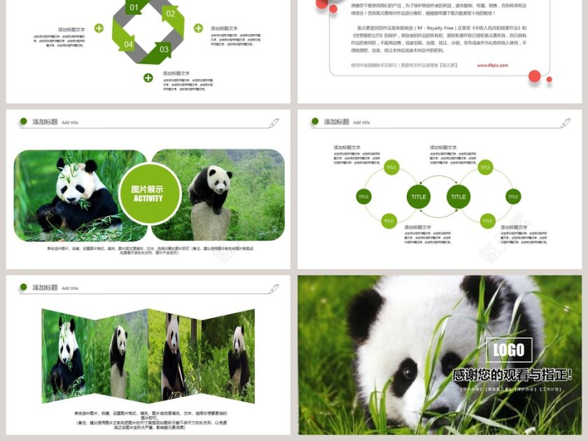 国宝熊猫教育培训专用PPT模板第6张