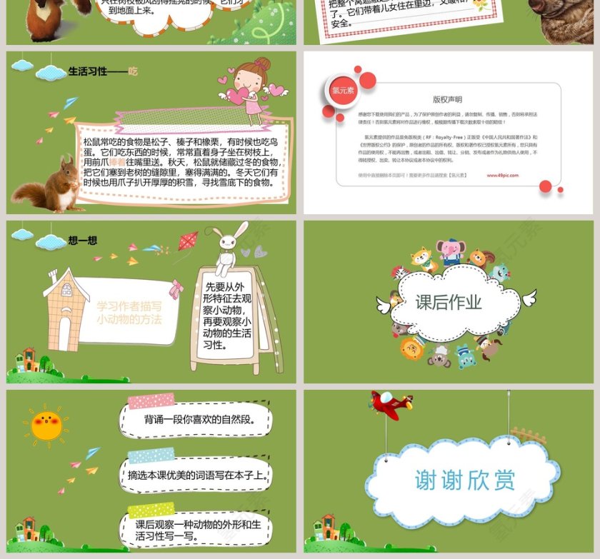语文教学松鼠PPT课件第4张