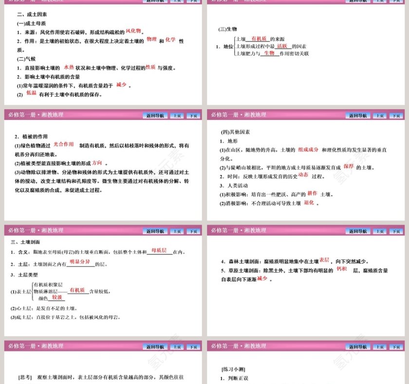 第二节土壤的形成教学ppt课件第2张