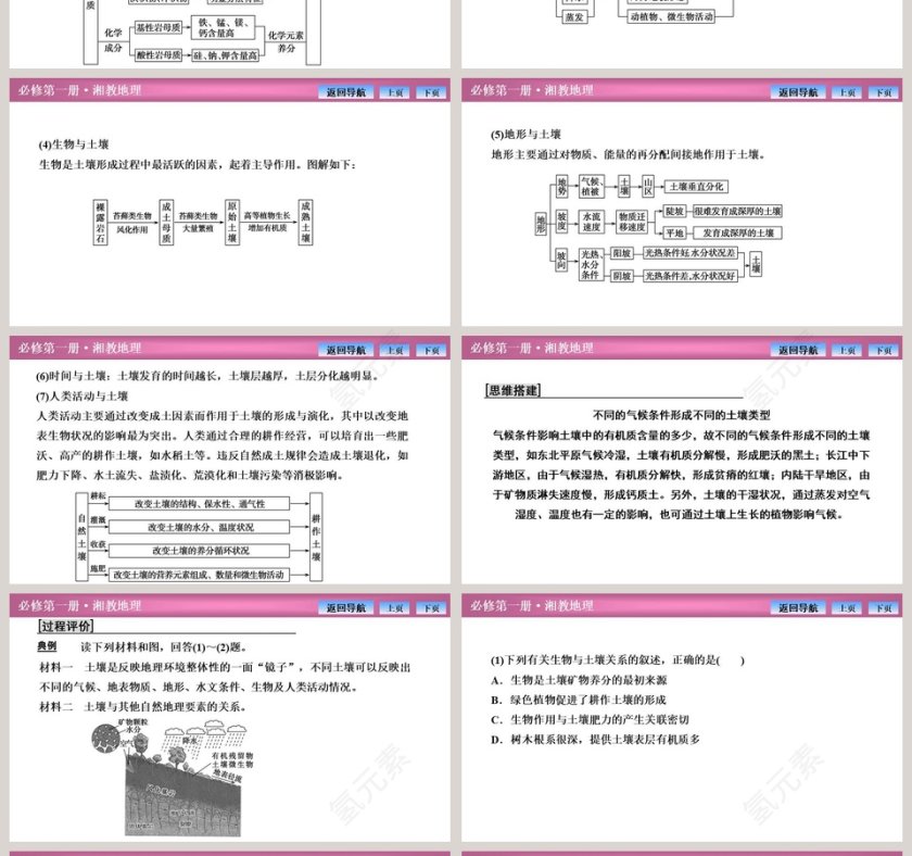 第二节土壤的形成教学ppt课件第4张