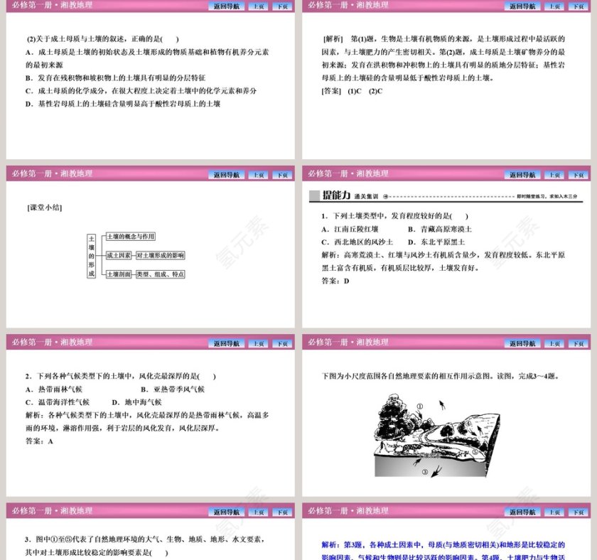 第二节土壤的形成教学ppt课件第5张