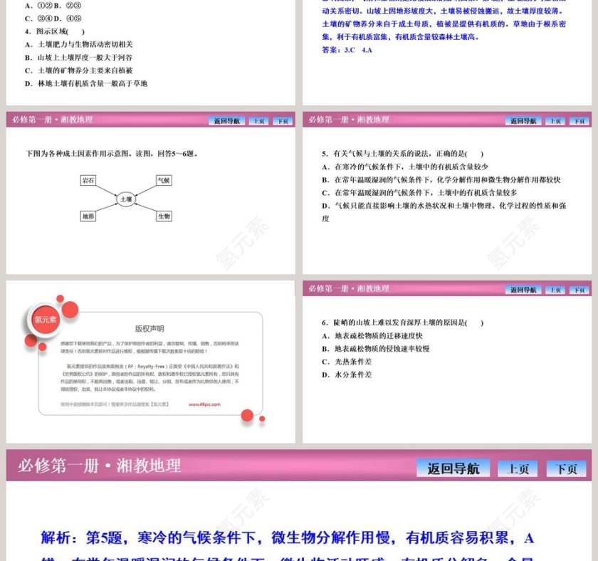 第二节土壤的形成教学ppt课件第6张