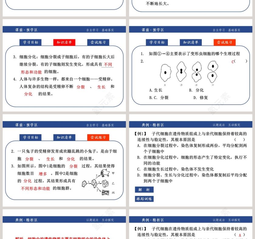 第二章    观察生物-教学ppt课件第2张