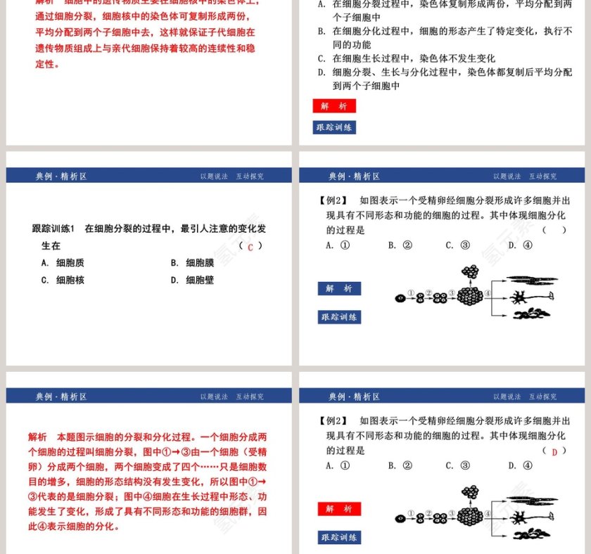 第二章    观察生物-教学ppt课件第3张