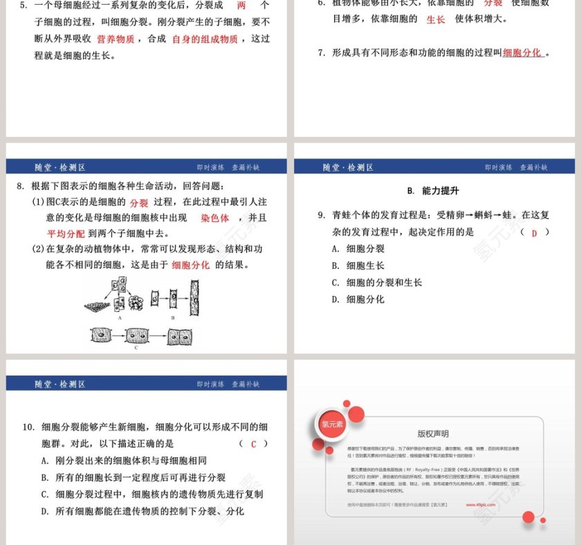 第二章    观察生物-教学ppt课件第5张
