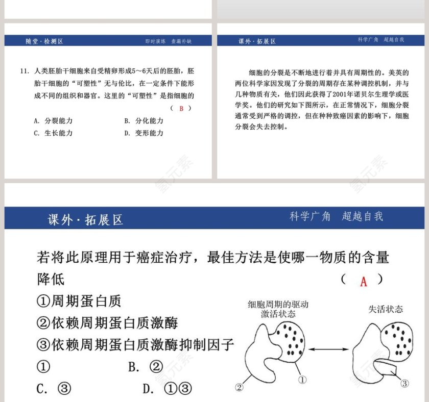 第二章    观察生物-教学ppt课件第6张