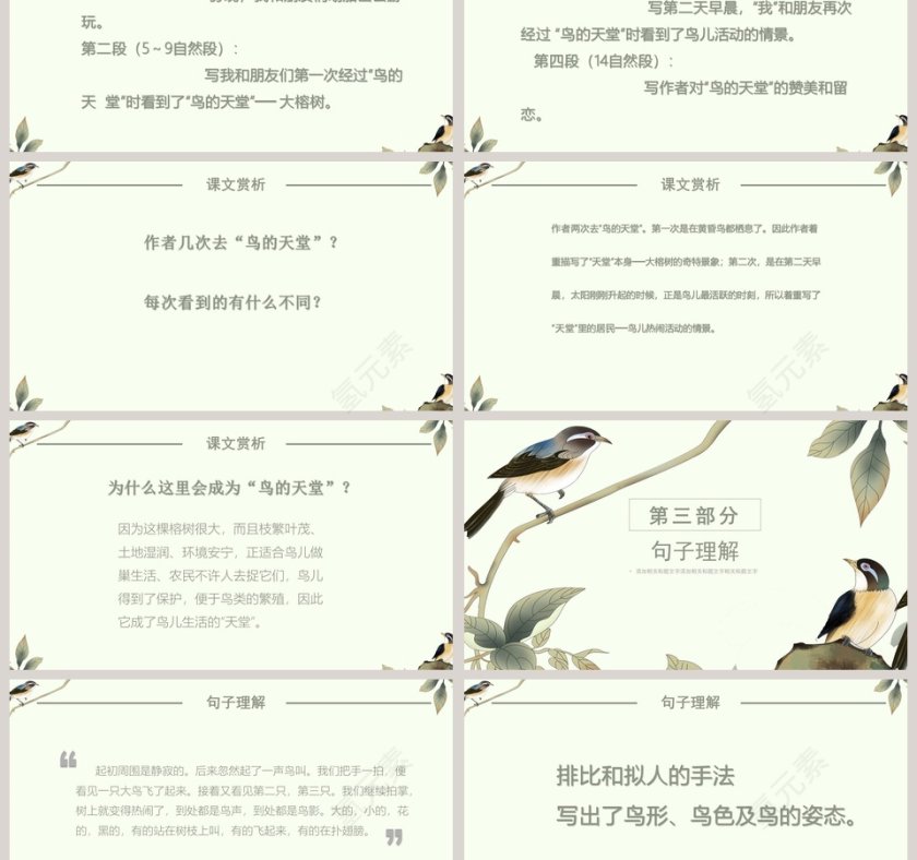 语文课件-鸟的天堂 PPT第3张