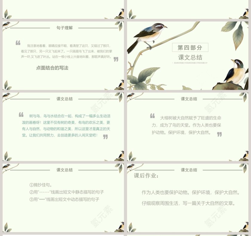 语文课件-鸟的天堂 PPT第4张
