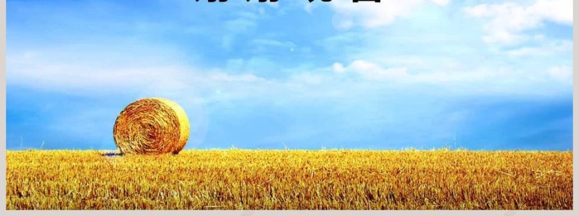 农业银行/理财/通用PPT第7张