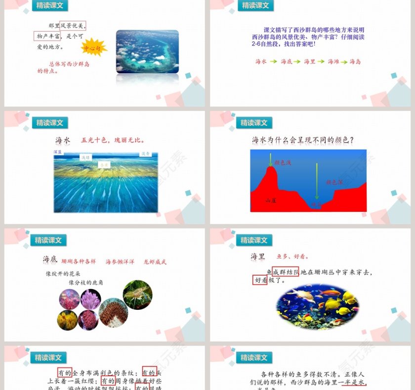 部编版小学三年级语文上册富饶的西沙群岛语文课件PPT第2张