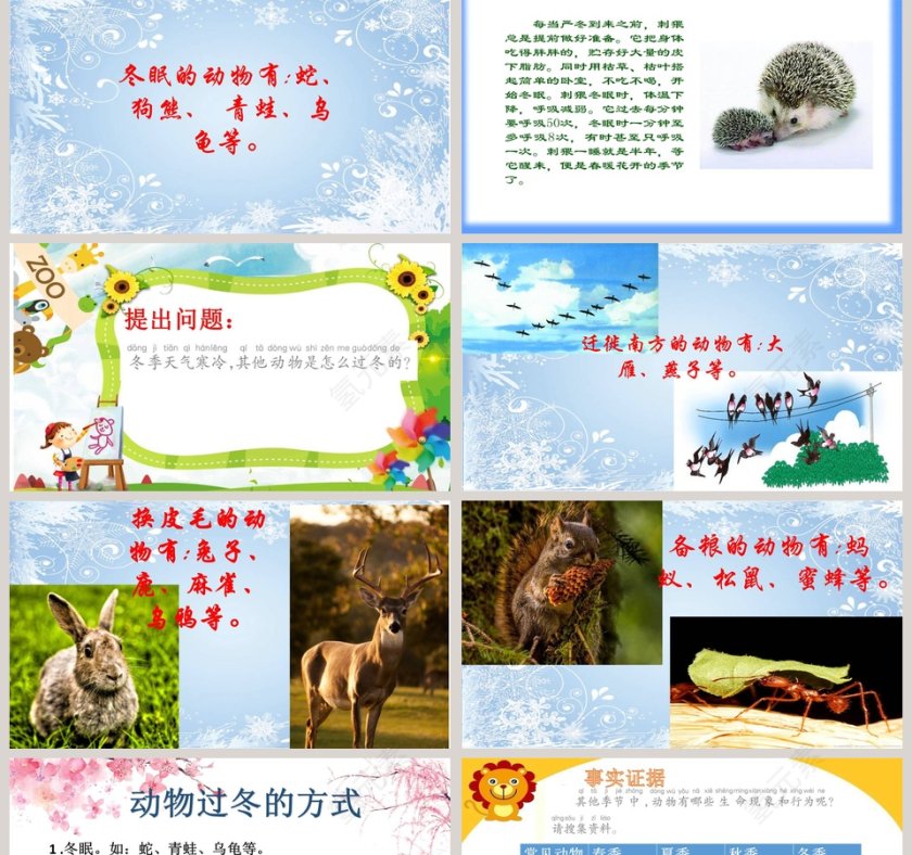 四季与动物教学ppt课件第2张