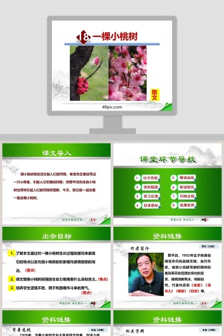 散文解析一棵小桃树语文课件PPT